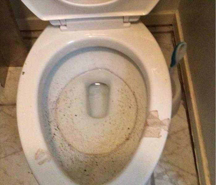 A toilet that had a sewer backup