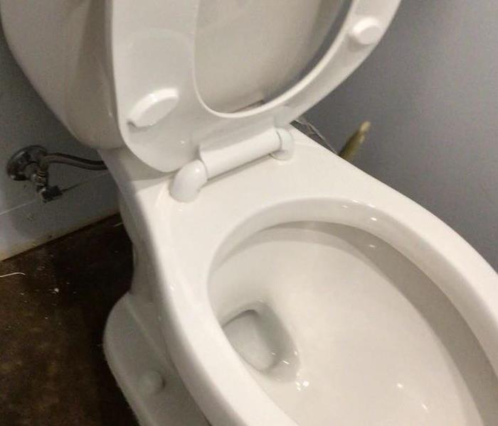 This toilet had stopped business for the day!