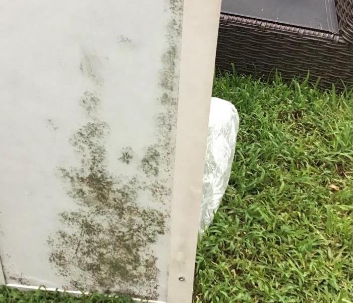 Mold is discovered while doing a fire cleanup