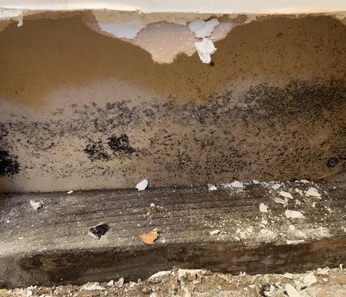 Mold is possible after any water misplacement.
